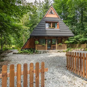 https://chalubinskiego-41.zakopanehotels.org